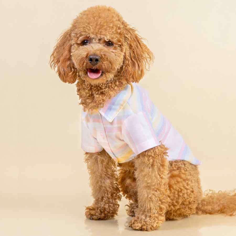Lmb Camisa Cotton Rayas Avar, , large image number null
